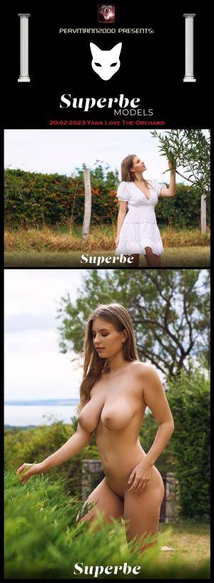 Original 1286 px/ 3499 px