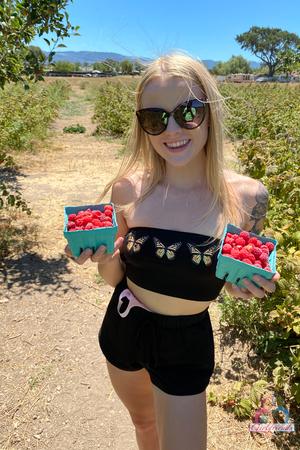 Original 2000 px/ 3000 px