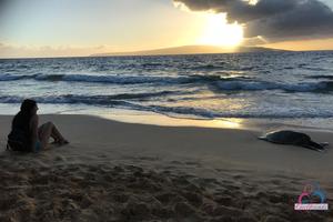 Original 3000 px/ 2000 px