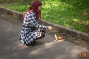 Original 2500 px/ 1660 px