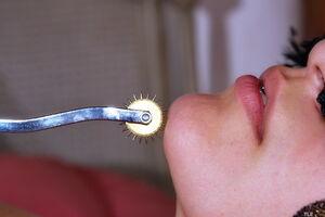 Original 6000 px/ 4000 px