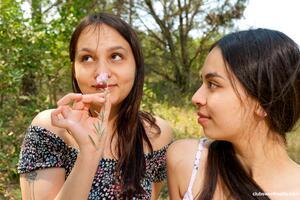 Original 6000 px/ 4000 px