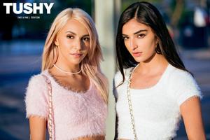 Original 3000 px/ 2000 px