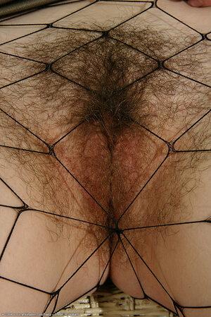 Original 684 px/ 1024 px