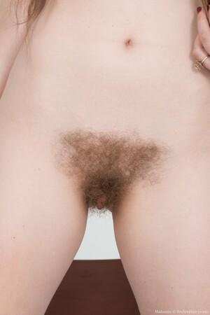 Original 2002 px/ 3000 px