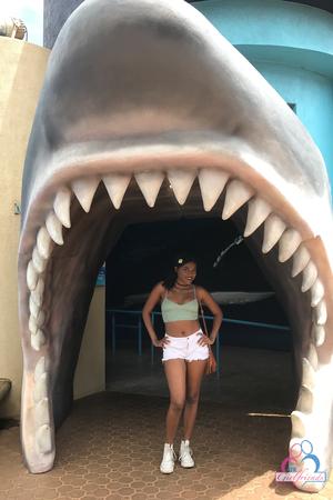 Original 2000 px/ 3000 px