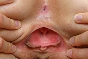 Original 1024 px/ 682 px