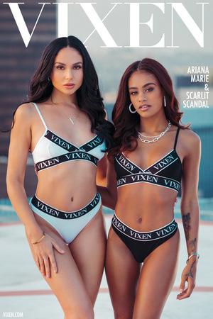 Original 2000 px/ 3000 px