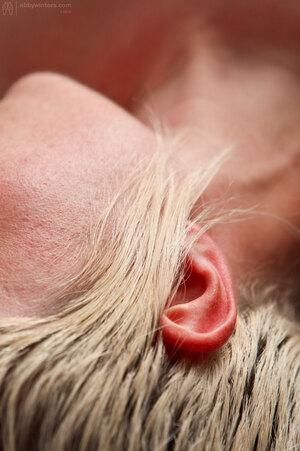 Original 1288 px/ 1936 px