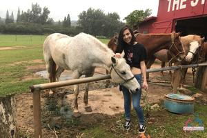 Original 3000 px/ 2000 px