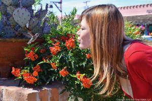 Original 1280 px/ 852 px