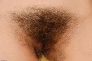 Original 1024 px/ 682 px