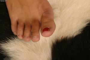 Original 1024 px/ 683 px