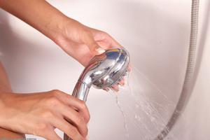 Original 1536 px/ 1024 px