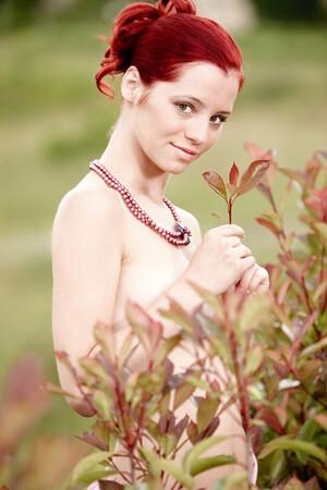 Original 2000 px/ 3000 px