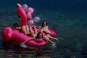 Original 5472 px/ 3648 px