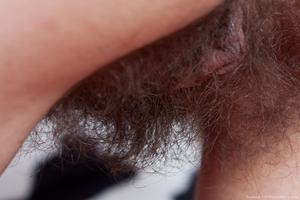 Original 3888 px/ 2592 px