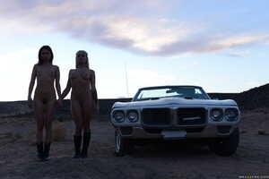 Original 2491 px/ 1663 px