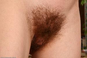 Original 1536 px/ 1025 px