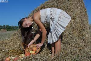 Original 897 px/ 600 px