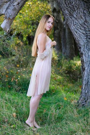 Original 854 px/ 1280 px