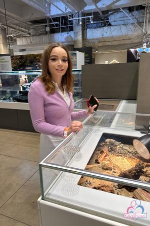 Original 2000 px/ 3000 px