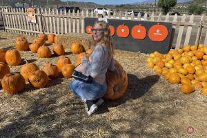 Original 3000 px/ 2000 px