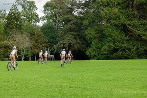 Original 3000 px/ 1993 px