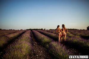 Original 3000 px/ 2000 px