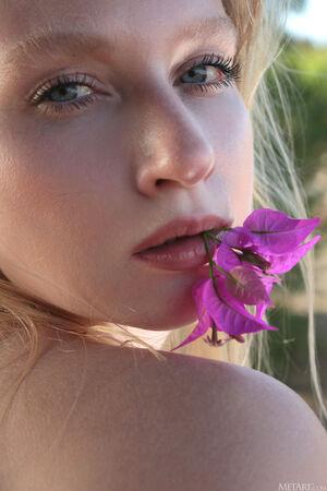 Original 3456 px/ 5184 px