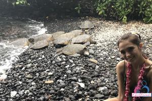 Original 3000 px/ 2000 px