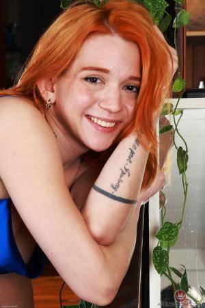 Original 2000 px/ 3000 px