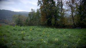 Original 1200 px/ 675 px