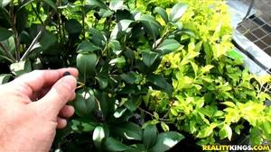 Original 3840 px/ 2160 px