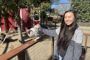 Original 3000 px/ 2000 px