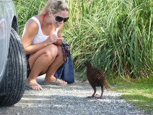 Original 2400 px/ 1800 px