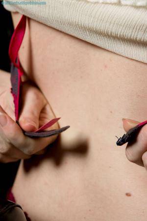 Original 981 px/ 1472 px