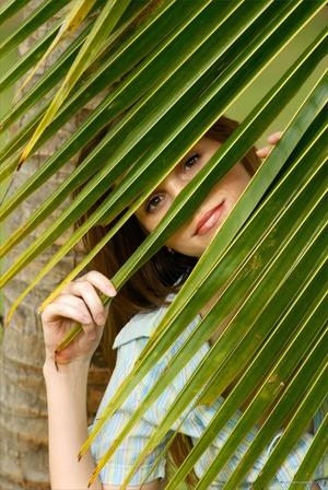 Original 2008 px/ 3000 px