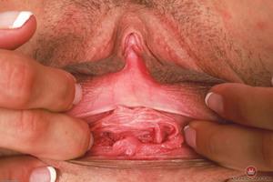 Original 3000 px/ 2000 px