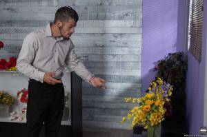 Original 2495 px/ 1663 px