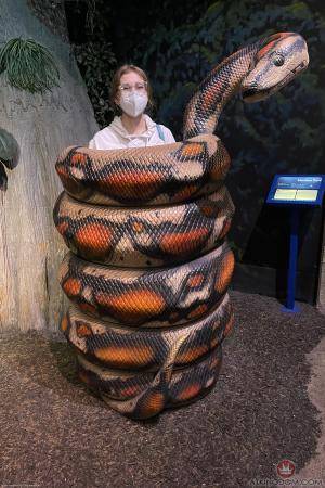 Original 2000 px/ 3000 px