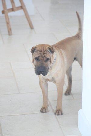 Original 1365 px/ 2048 px