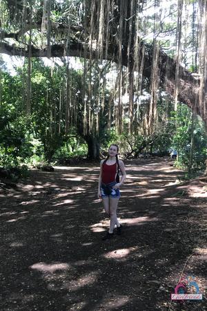 Original 2000 px/ 3000 px