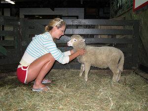 Original 2400 px/ 1800 px