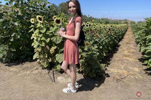 Original 3000 px/ 2000 px