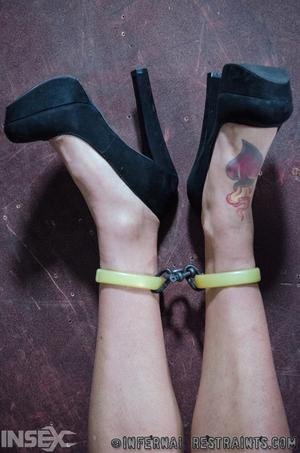 Original 795 px/ 1200 px