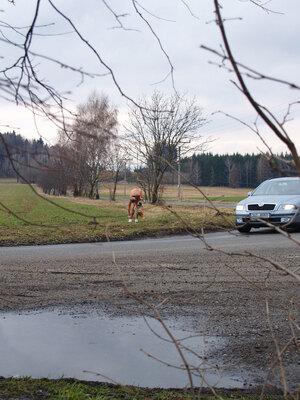 Original 1200 px/ 1600 px