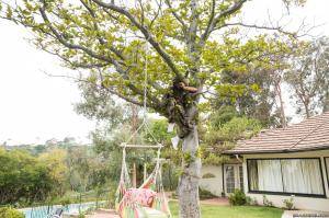 Original 2499 px/ 1663 px