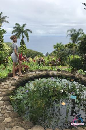 Original 2000 px/ 3000 px