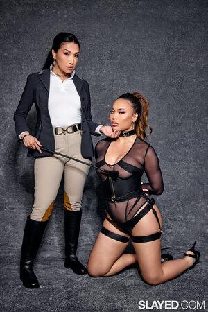 Original 2000 px/ 2999 px